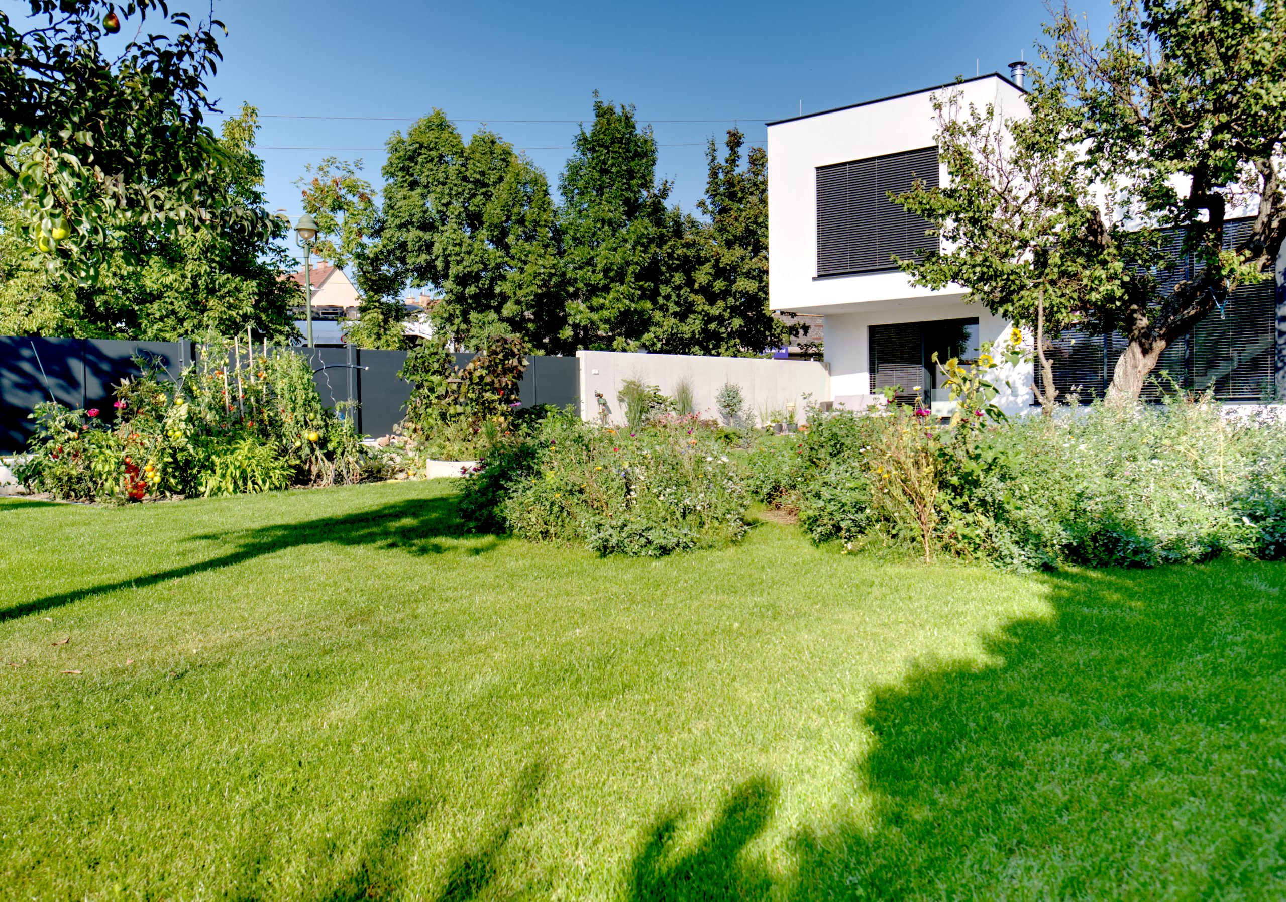 Urbane Gartenoase